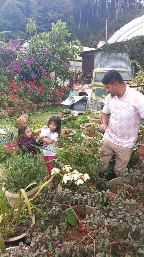 Hillview Inn Cameron Highlands Bagian luar foto