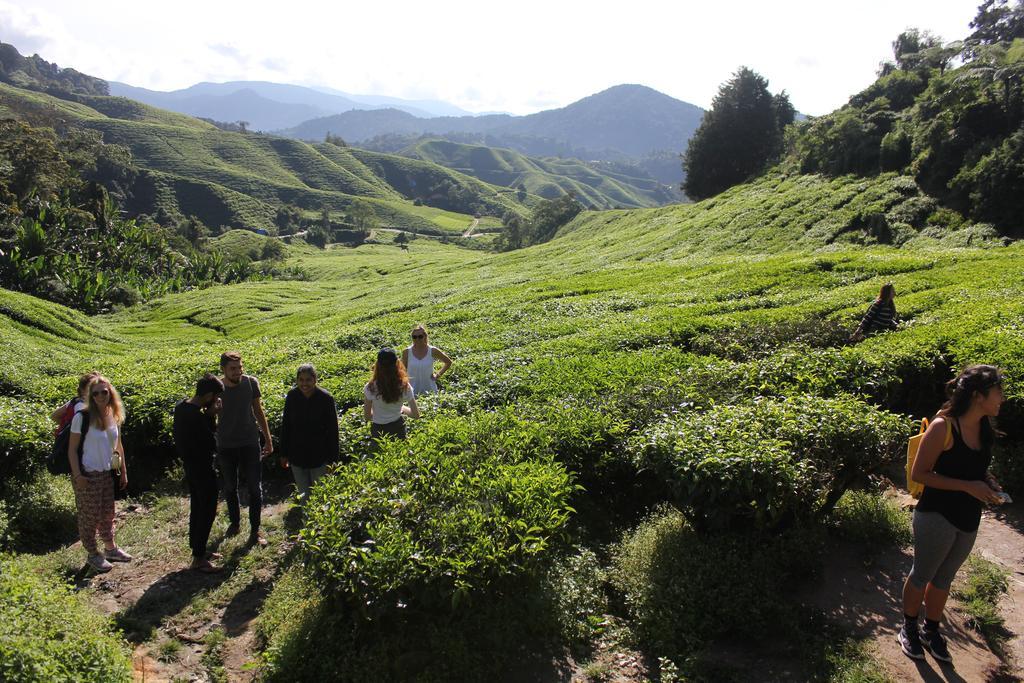 Hillview Inn Cameron Highlands Bagian luar foto