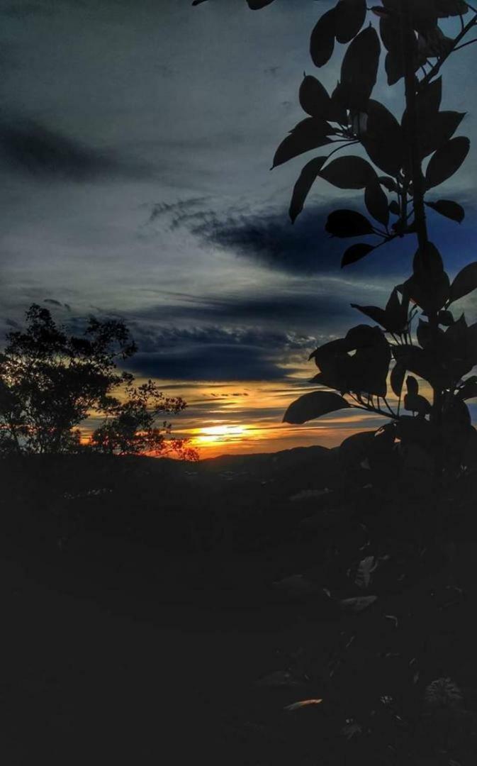 Hillview Inn Cameron Highlands Bagian luar foto