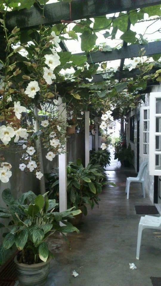 Hillview Inn Cameron Highlands Bagian luar foto